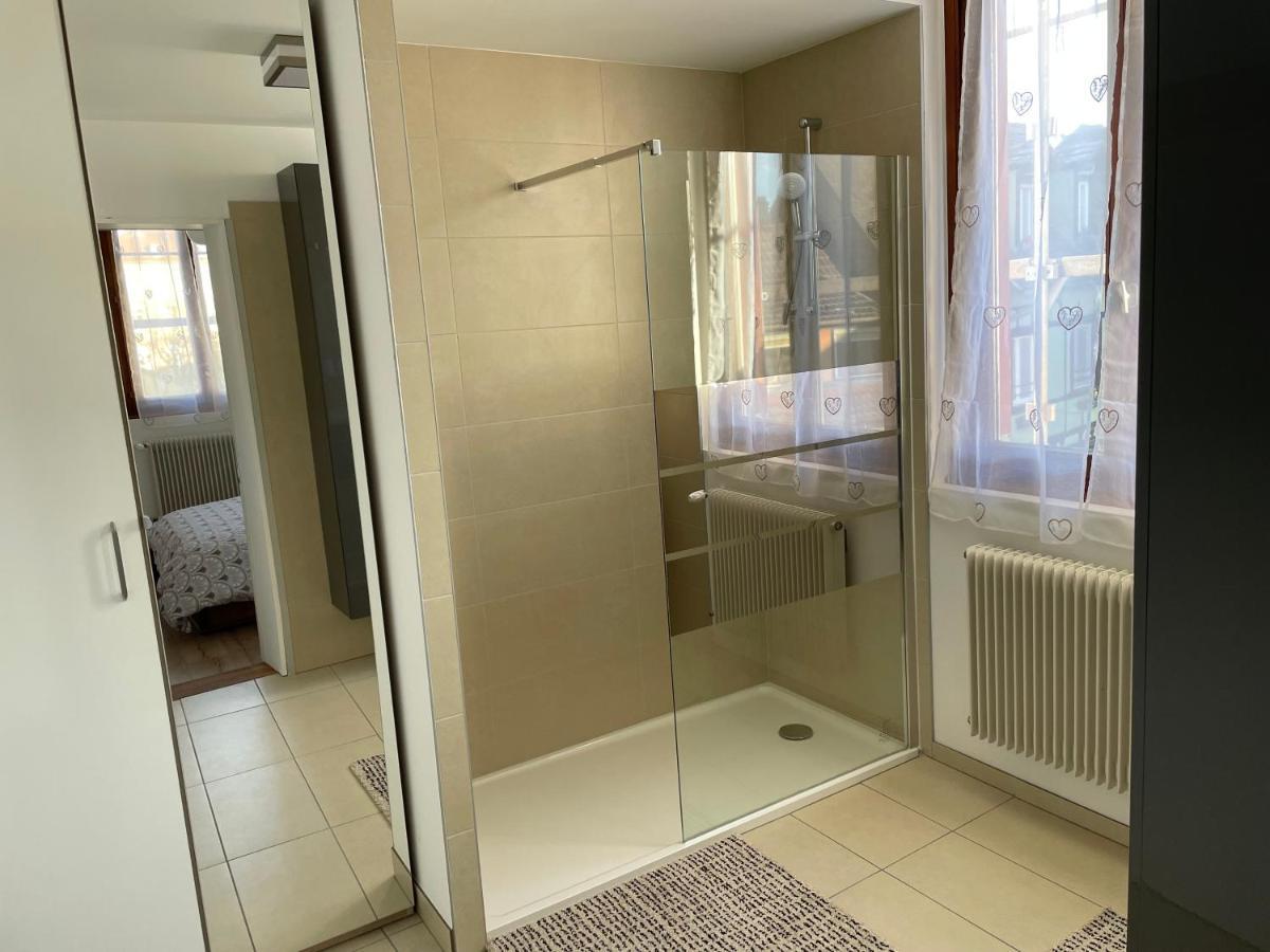 Appartement Le Fil D'Or Colmar Exterior photo